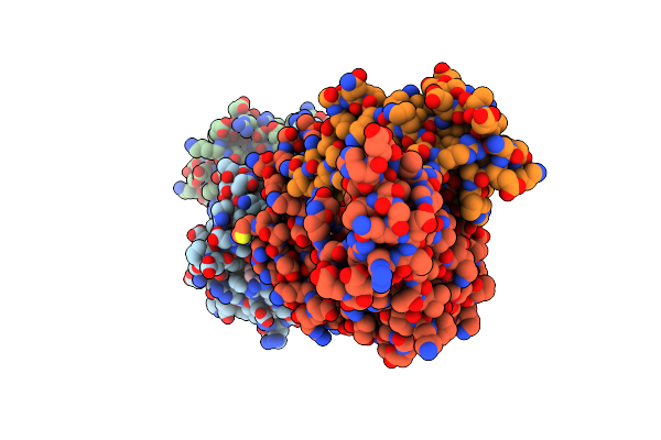 7N1B image