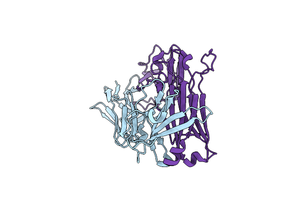 7N1C image