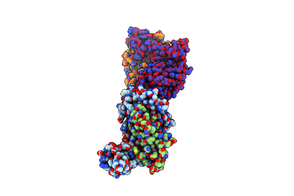7N1E image