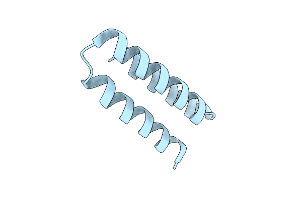 7N1K image
