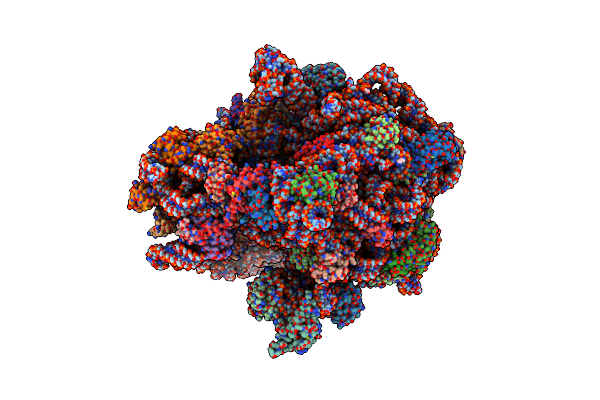 7N1P image