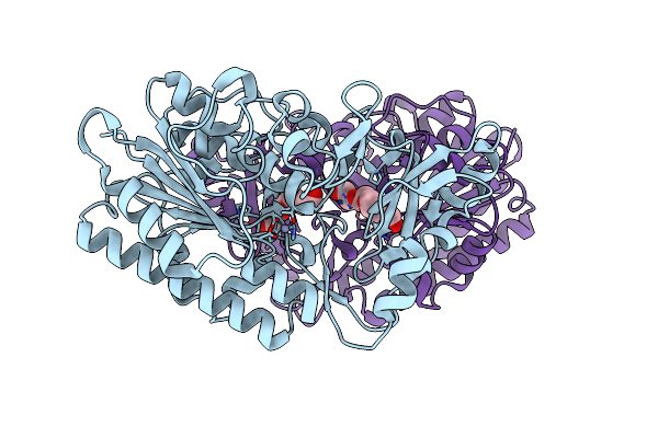 7N1S image