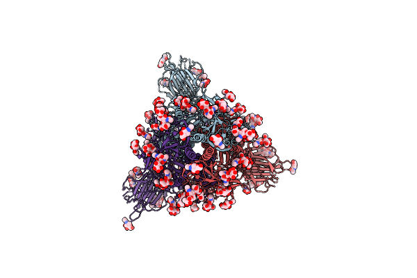 7N1V image