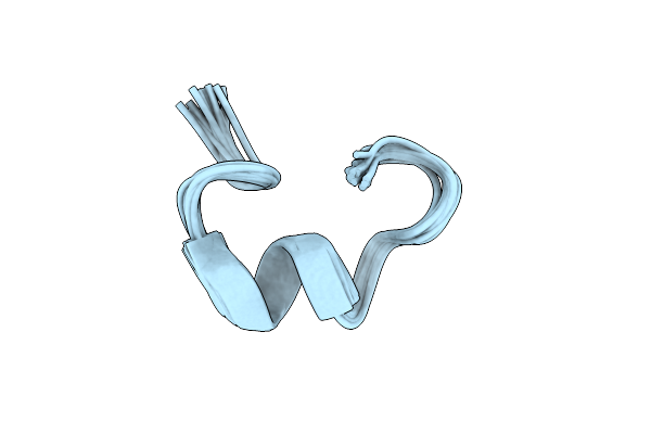 7N1Z image