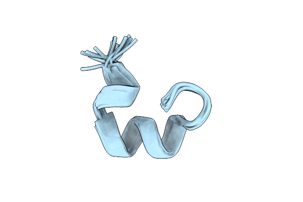 7N20 image