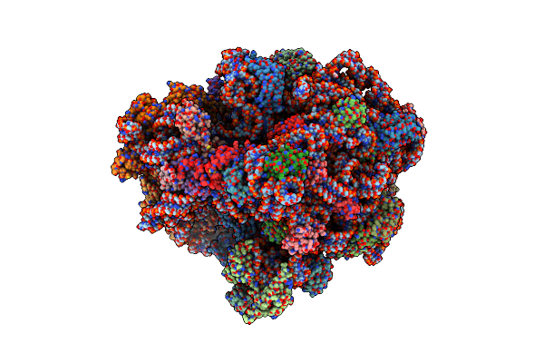 7N2C image