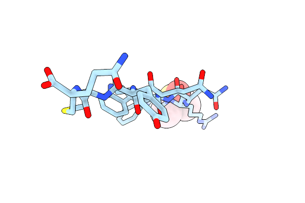 7N2D image