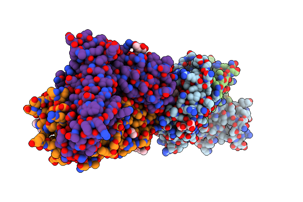 7N2P image