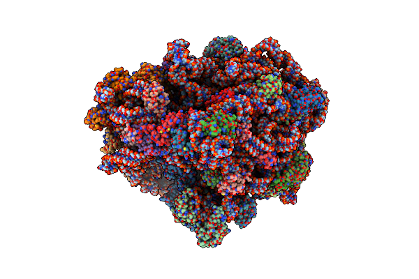 7N2V image