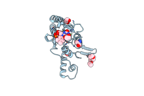 7N2X image