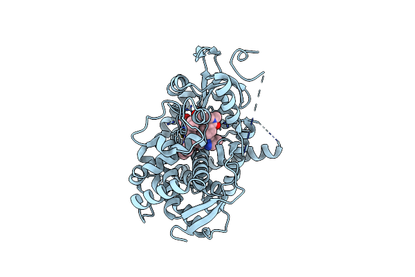 7N3M image