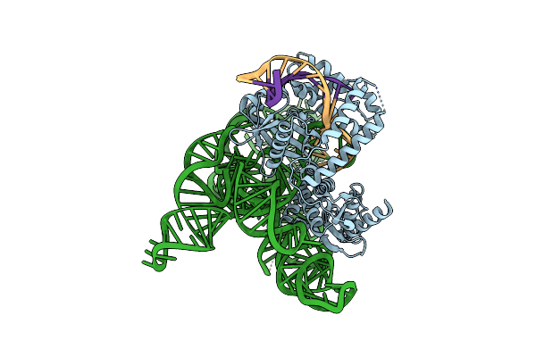 7N3P image