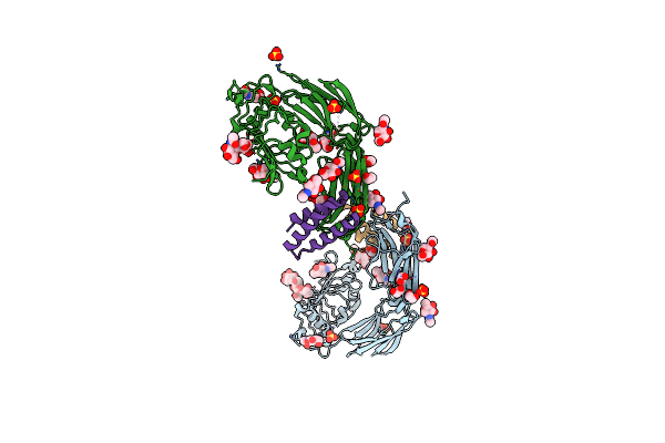 7N3T image