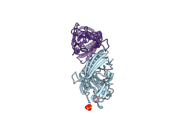 7N3V image