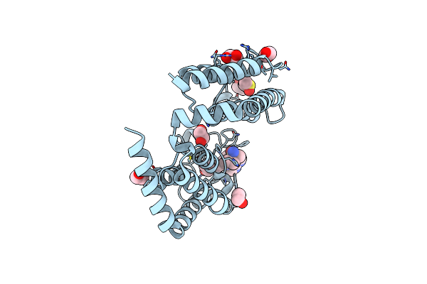 7N42 image