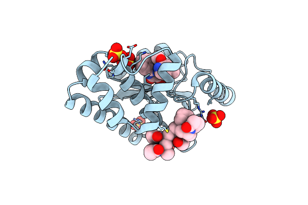 7N47 image