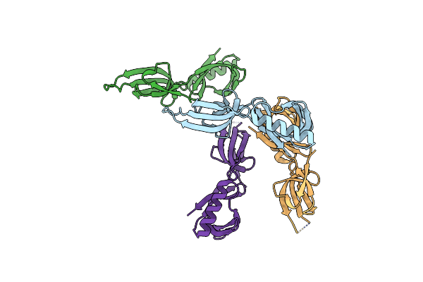 7N4D image