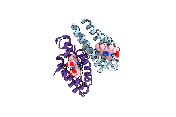 7N4G image