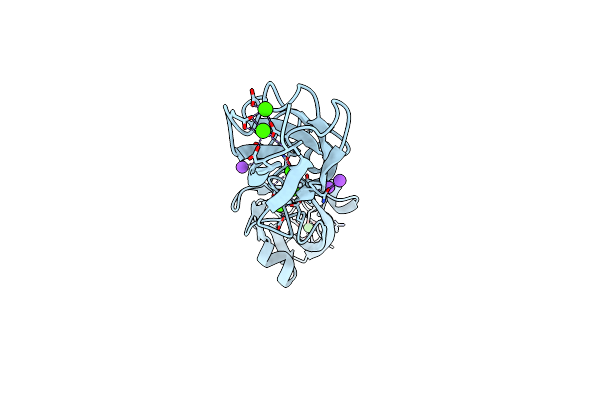 7N4P image