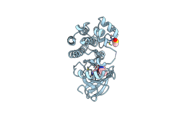 7N4R image