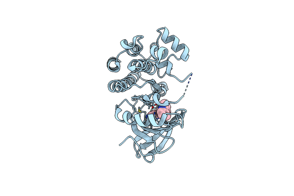 7N4S image