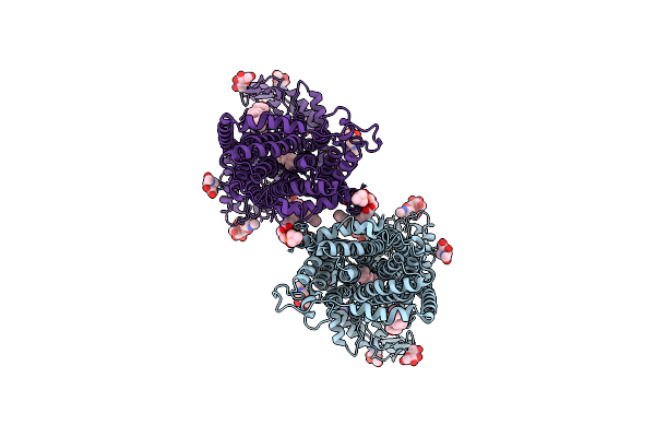 7N4V image