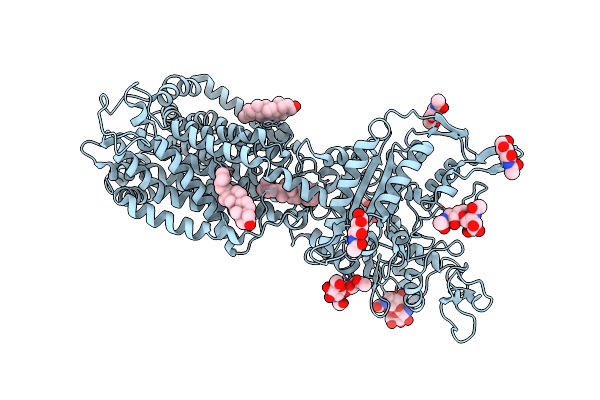 7N4X image