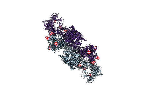 7N4Y image