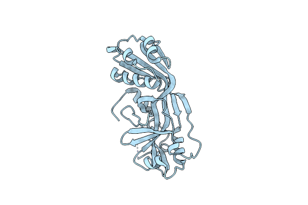 7N51 image