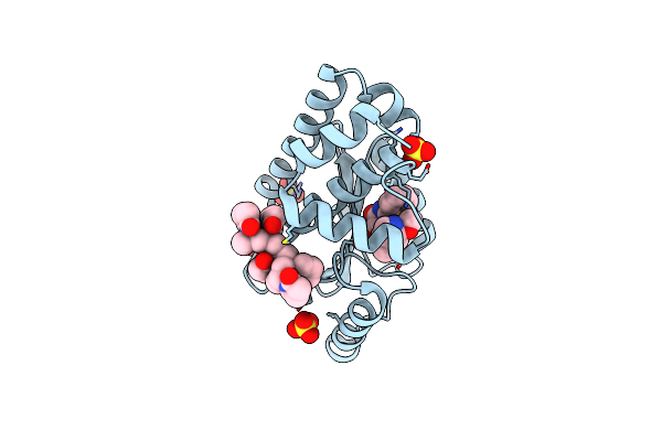 7N55 image