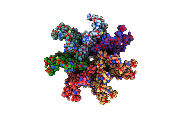 7N5D image