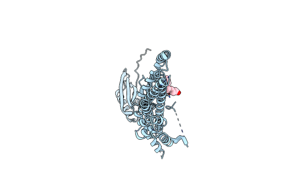 7N5F image