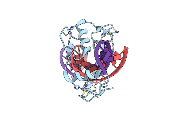 7N5T image