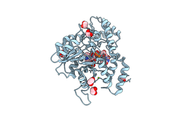 7N63 image