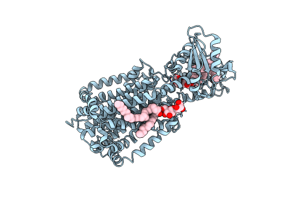 7N6B image