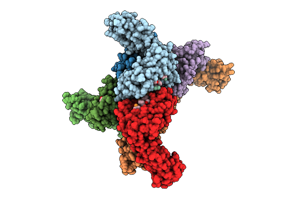 7N6D image
