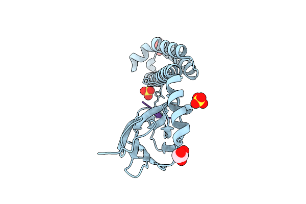 7N6L image