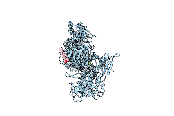 7N70 image