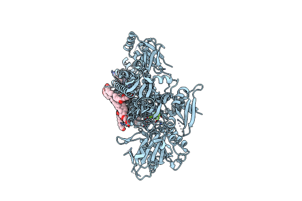 7N72 image