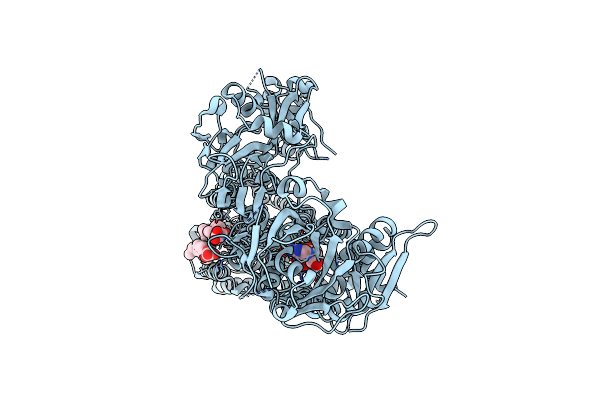 7N74 image