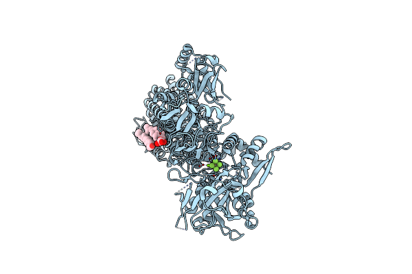 7N77 image