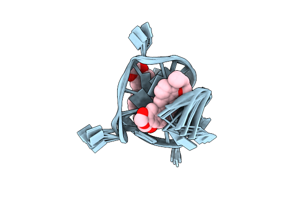 7N7D image