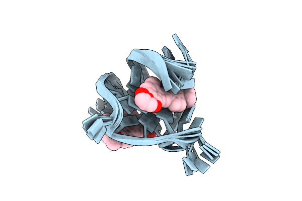 7N7E image