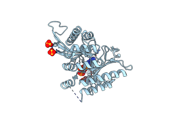 7N7J image