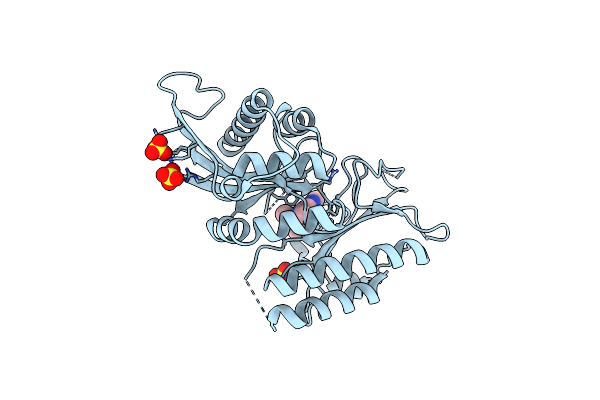 7N7L image