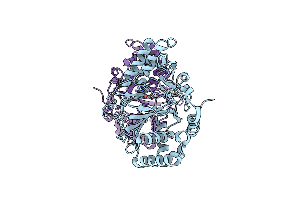7N7V image