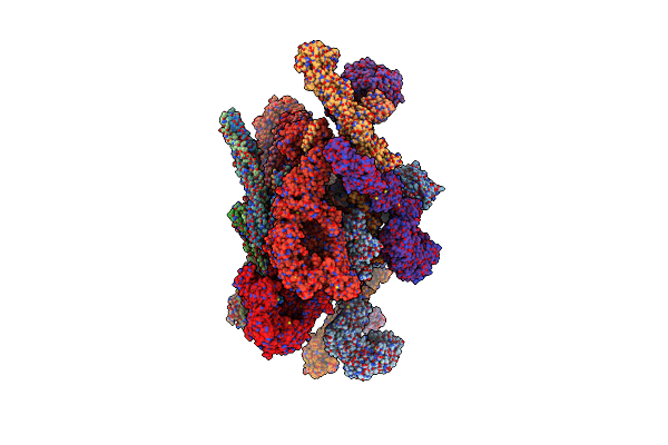 7N85 image