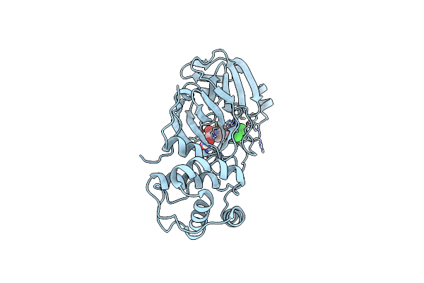 7N8C image