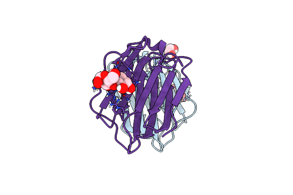 7N8D image