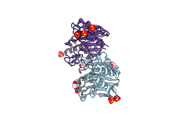 7N8K image